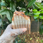 Hot Coco Soap Bar